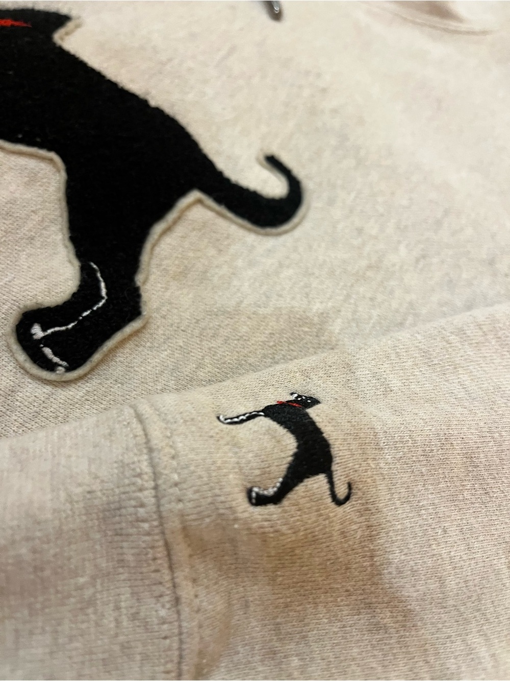 The Black Dog embroidered hoodie - Picture 5 of 7